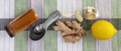 Recipes: Sick Day Herbal Tea, Garlic-Infused Honey, Garlic Shots, & Elecampane Candy