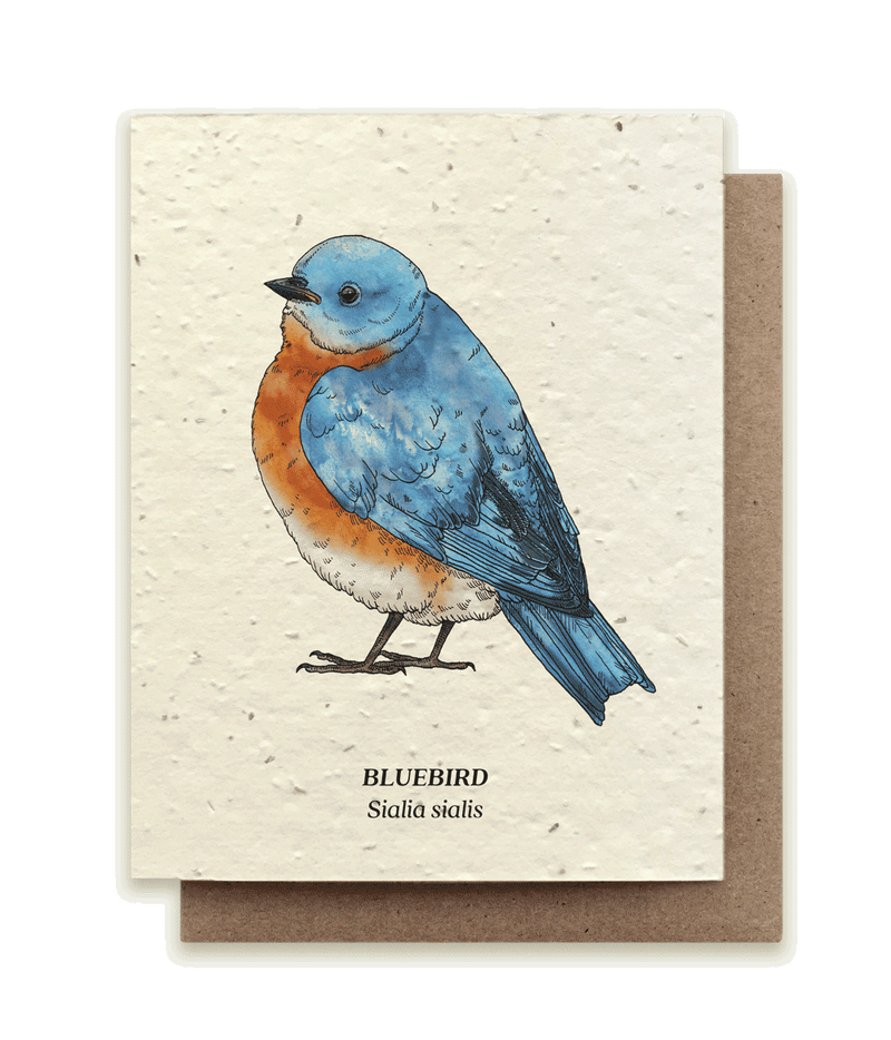 Bluebird - Plantable Wildflower Seed Card