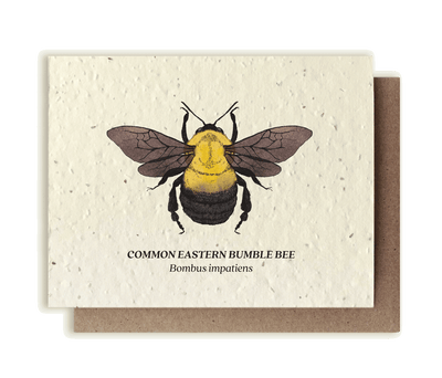 Bumble Bee - Plantable Wildflower Seed Card
