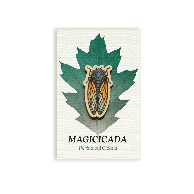 Wood Pin: Magicicada - Periodical Cicada