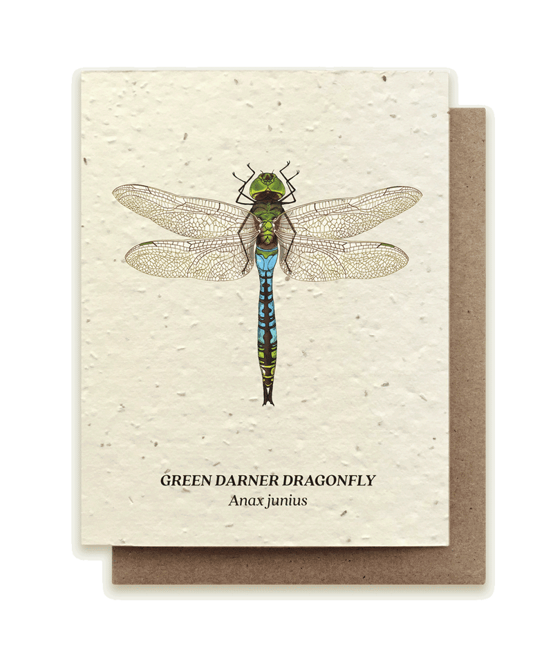 Green Darner Dragonfly - Plantable Wildflower Seed Card