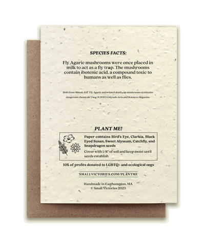 Fly Agaric Mushroom - Plantable Wildflower Seed Card