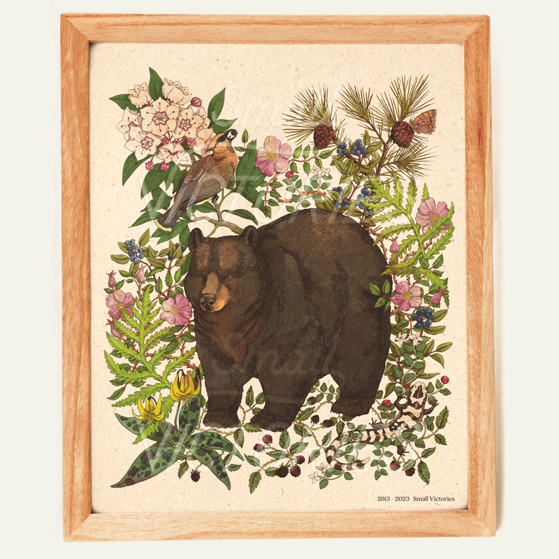 Forest Edge Print: Black Bear