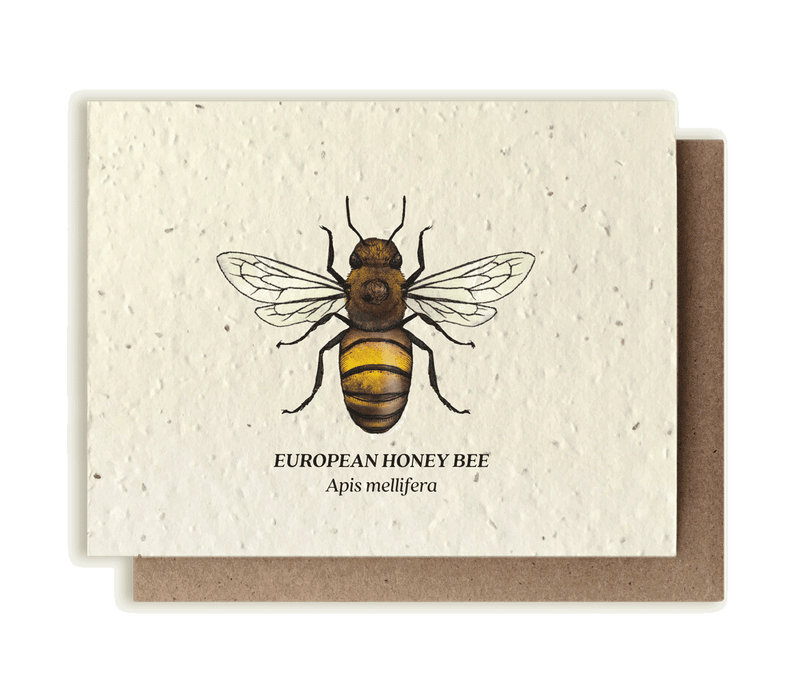 Honey Bee - Plantable Wildflower Seed Card