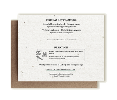 Anna's Hummingbird & Yellow Larkspur - Plantable Herb Card