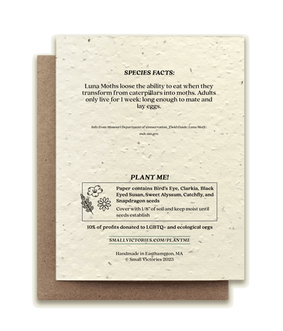 Luna Moth - Plantable Wildflower Seed Card