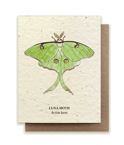 Luna Moth - Plantable Wildflower Seed Card
