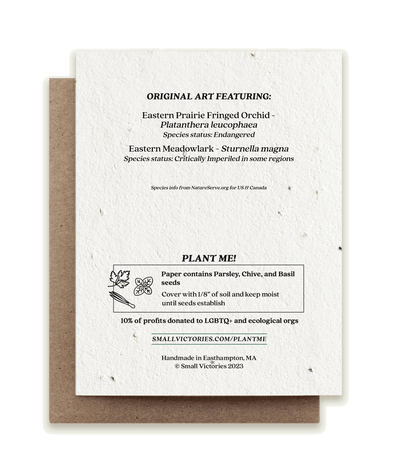 Meadowlark & Prairie Orchid - Plantable Herb Card