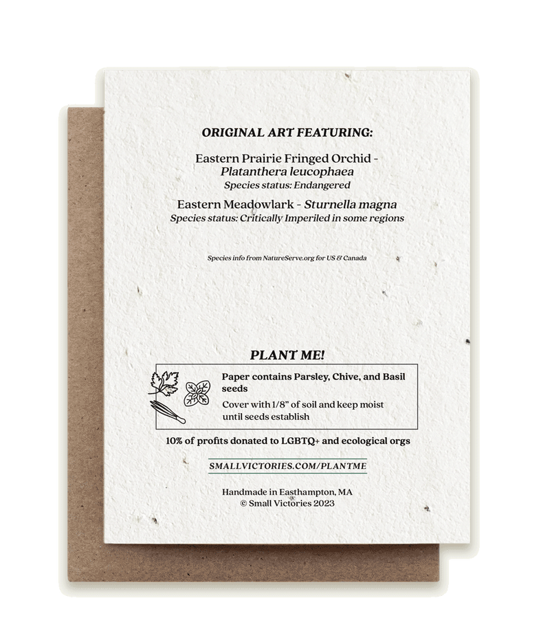 Meadowlark & Prairie Orchid - Plantable Herb Card
