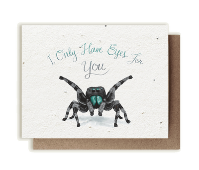 I Only Have Eyes for You Spider - Plantable Herb Seed Card