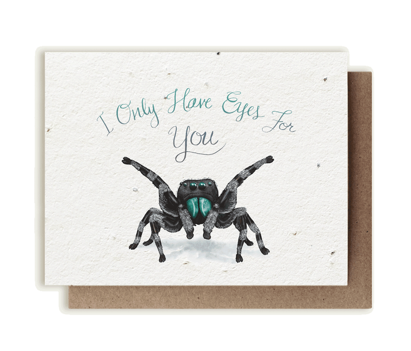 I Only Have Eyes for You Spider - Plantable Herb Seed Card