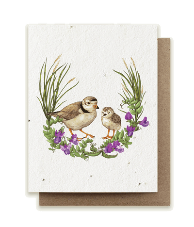 Summer Plovers - Plantable Herb Seed Card