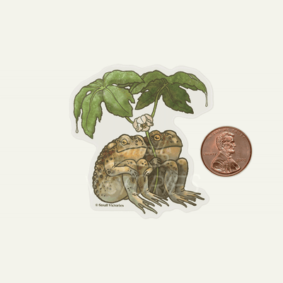 Eco Sticker: Two Toads