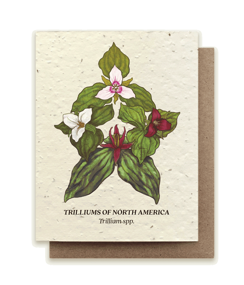 Trillium Compass - Plantable Wildflower Seed Card