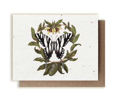 Zebra Swallowtail Butterfly & Pawpaw - Plantable Herb Card