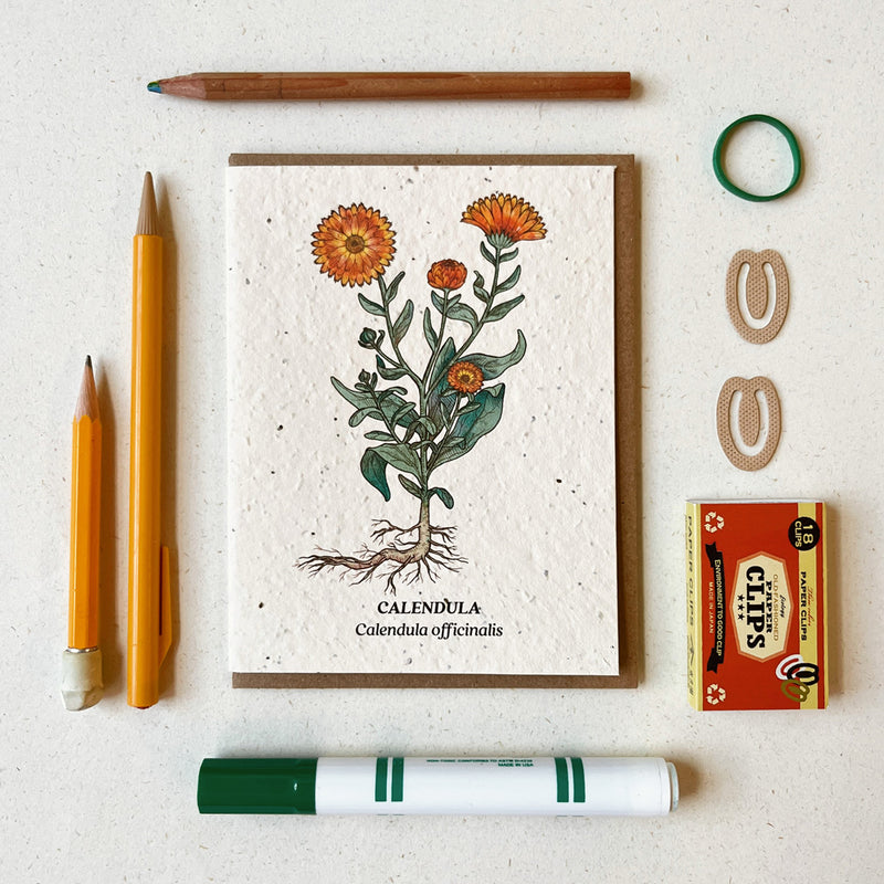 Calendula - Plantable Wildflower Seed Card
