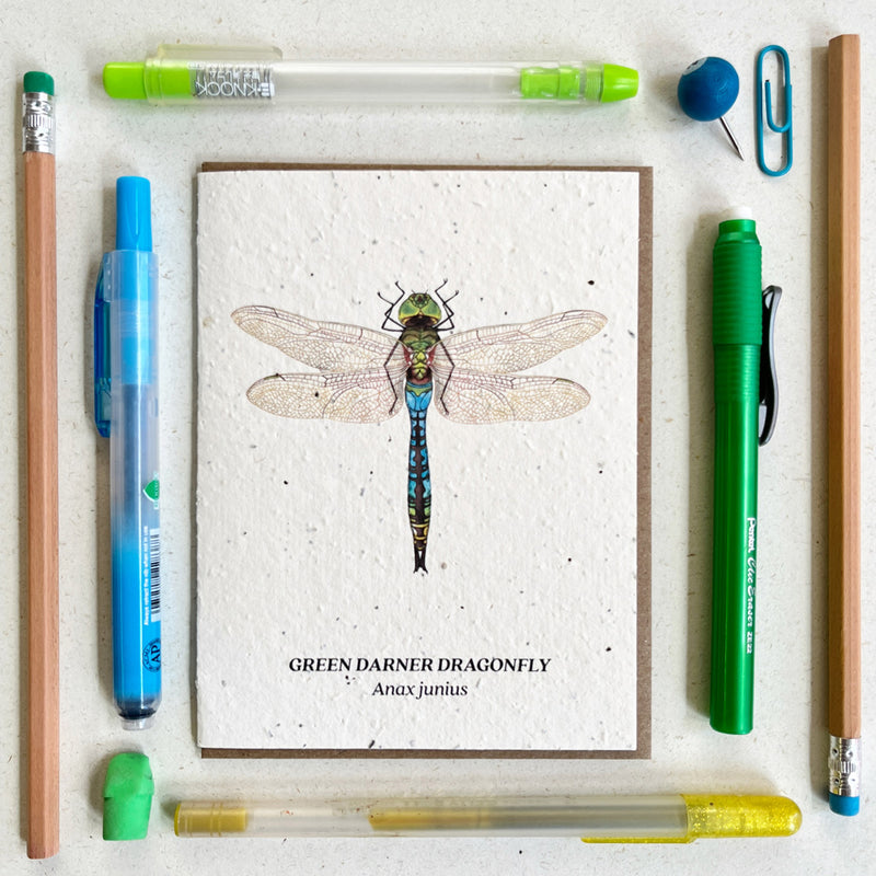 Green Darner Dragonfly - Plantable Wildflower Seed Card