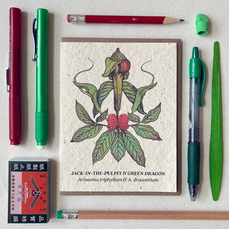 Jack-in-the-Pulpit & Green Dragon - Plantable Herb Seed Card
