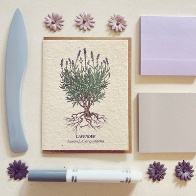 Lavender - Plantable Wildflower Seed Card