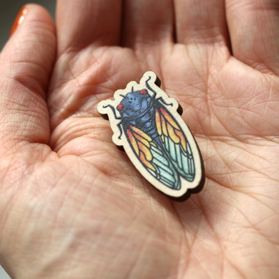 Wood Pin: Magicicada - Periodical Cicada
