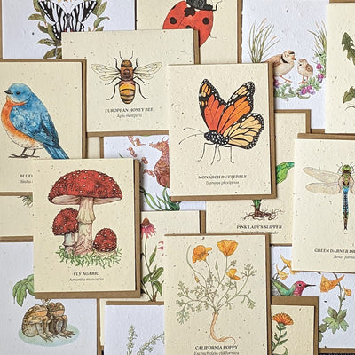 2023 Roundup: Your Favorite Plantable Seed Cards