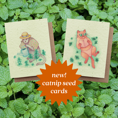 September Updates: Catnip Seed Cards, Plantable Gift Tags, and Gashapon