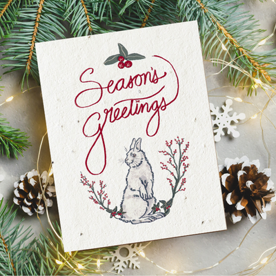 💌 Seed Cards for Winter Holiday Greetings: A Gift that Grows 🌱