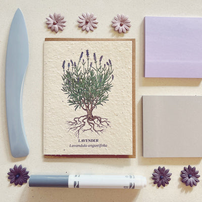 Mother's Day Gift Ideas