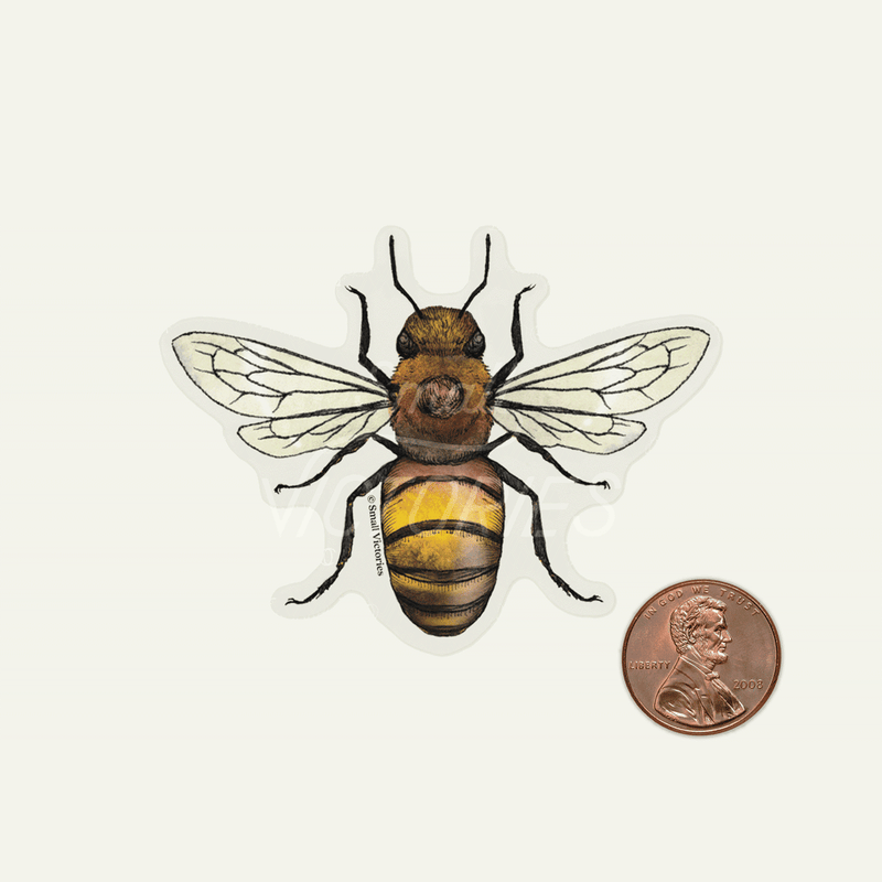 Eco-Sticker: Honey Bee