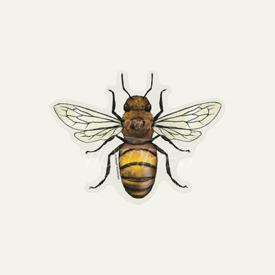 Eco-Sticker: Honey Bee