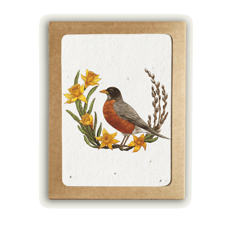 Birds of the Seasons Card Set - Plantable Herb Paper