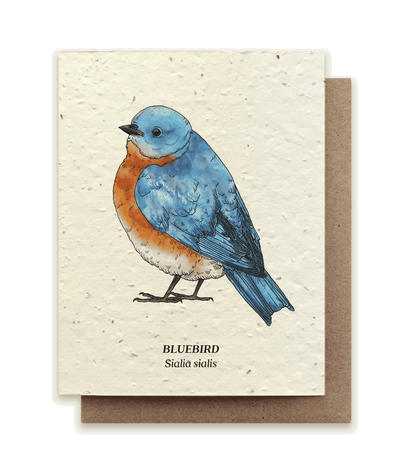 Bluebird Plantable Wildflower Seed Card