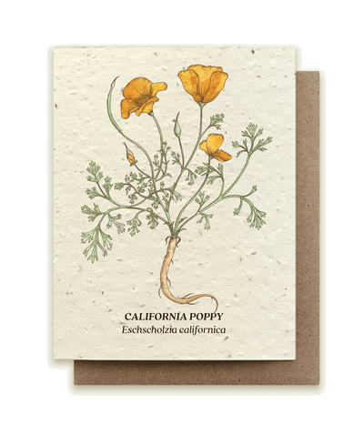 California Poppy - Plantable Wildflower Seed Card