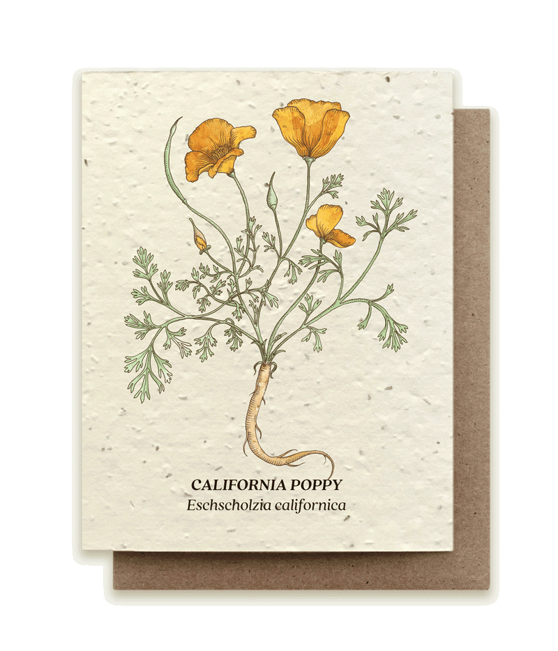California Poppy - Plantable Wildflower Seed Card
