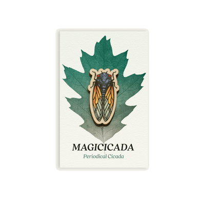 Wooden Pin: Magicicada - Periodical Cicada