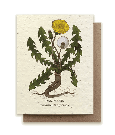 Dandelion Plantable Wildflower Seed Card