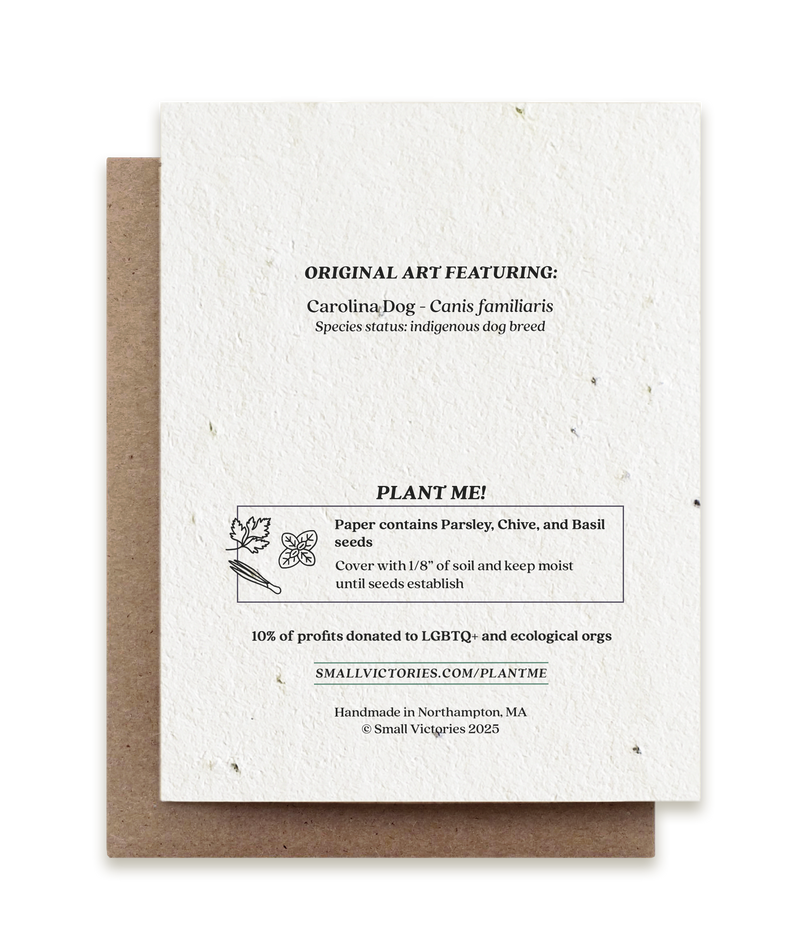 Holiday Snowflakes Pup - Plantable Herb Seed Card