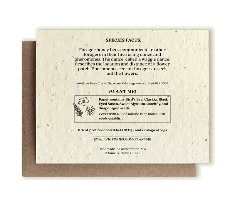 Honey Bee Plantable Wildflower Seed Card