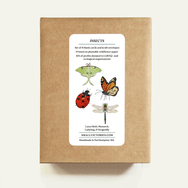 Insect Card Set - Small Victories