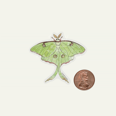 Eco-Sticker: Luna Moth