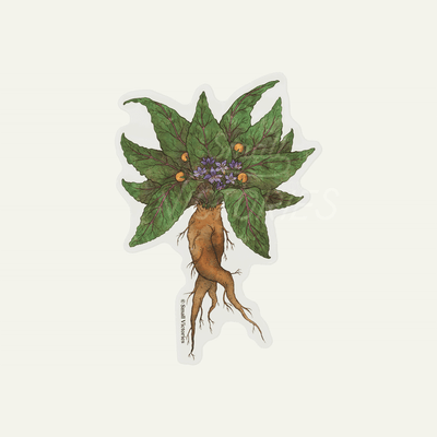 Eco-Sticker: Mandrake