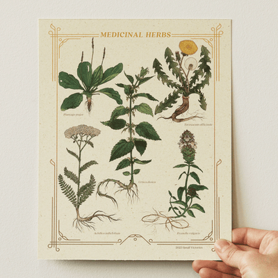 Medicinal Herbs Print