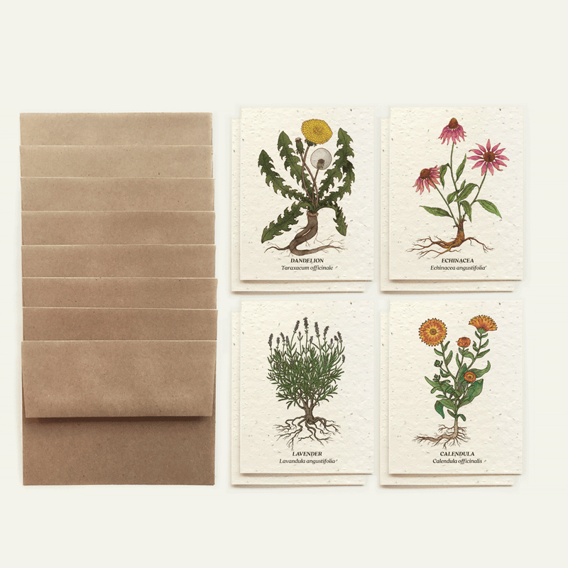 Medicinal Plants Card Set - Plantable Wildflower Seed Paper