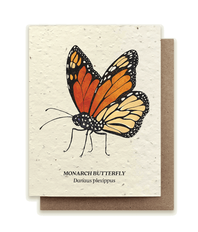 Monarch Butterfly - Plantable Wildflower Seed Card