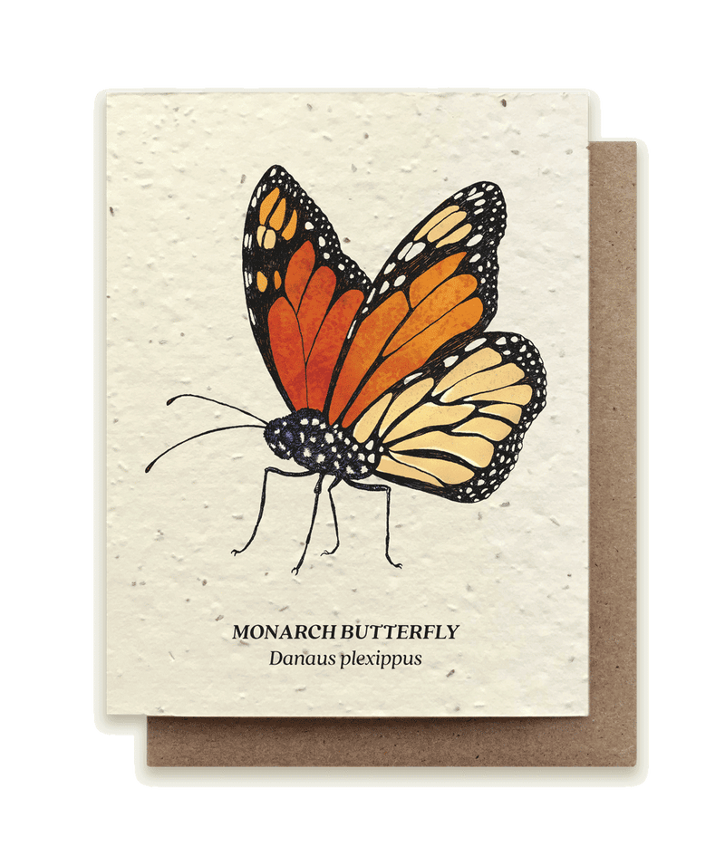 Monarch Butterfly Plantable Wildflower Seed Card