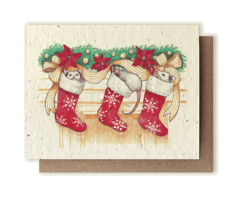 A photo of a plantable seed card with anoriginal illustration of three young opossums (Didelphis virginiana) playing in holiday stockings hanging from a fireplace.