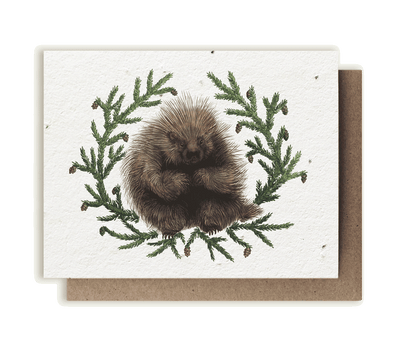 A photo of a plantable seed card with our original illustration of a North American porcupine (Erethizon dorsatum) with eastern hemlock branches (Tsuga canadensis)