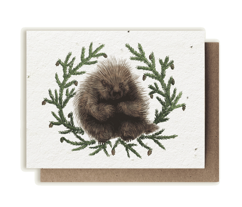 A photo of a plantable seed card with our original illustration of a North American porcupine (Erethizon dorsatum) with eastern hemlock branches (Tsuga canadensis)