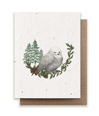 A photo of a plantable seed card with our original illustration of a snowy owl (Bubo scandiacus) with American holly (Ilex opaca) and black spruce (Picea mariana)