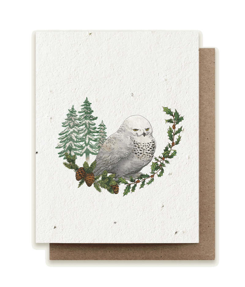 A photo of a plantable seed card with our original illustration of a snowy owl (Bubo scandiacus) with American holly (Ilex opaca) and black spruce (Picea mariana)